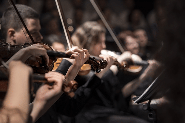 violins, musicians, orchestra