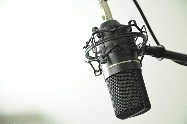 audio, microphone, condenser microphone