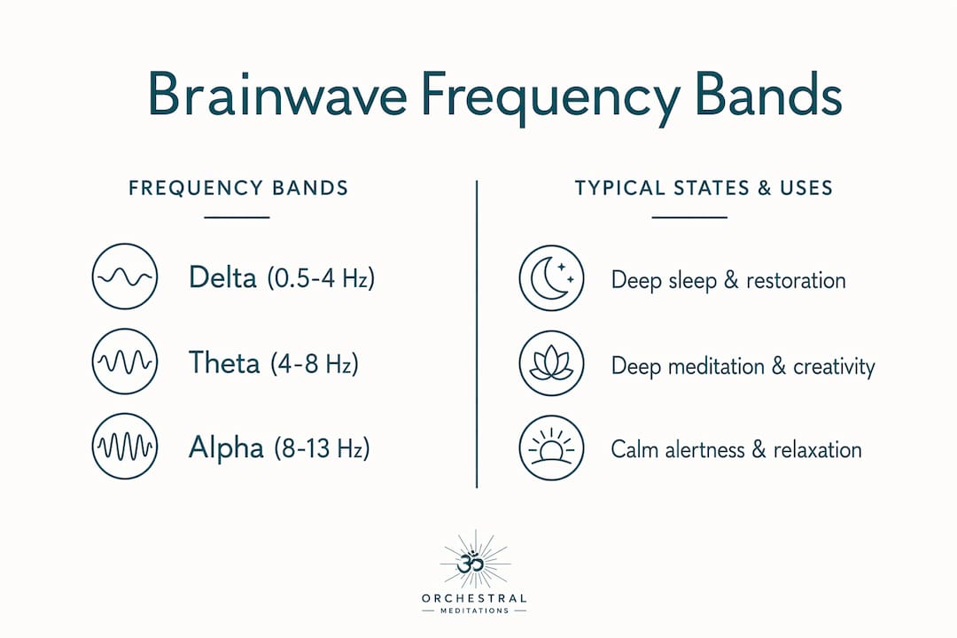 Mind frequency for focus and calm: a practical guide 1 Infographic comparing brainwave frequency bands and typical states